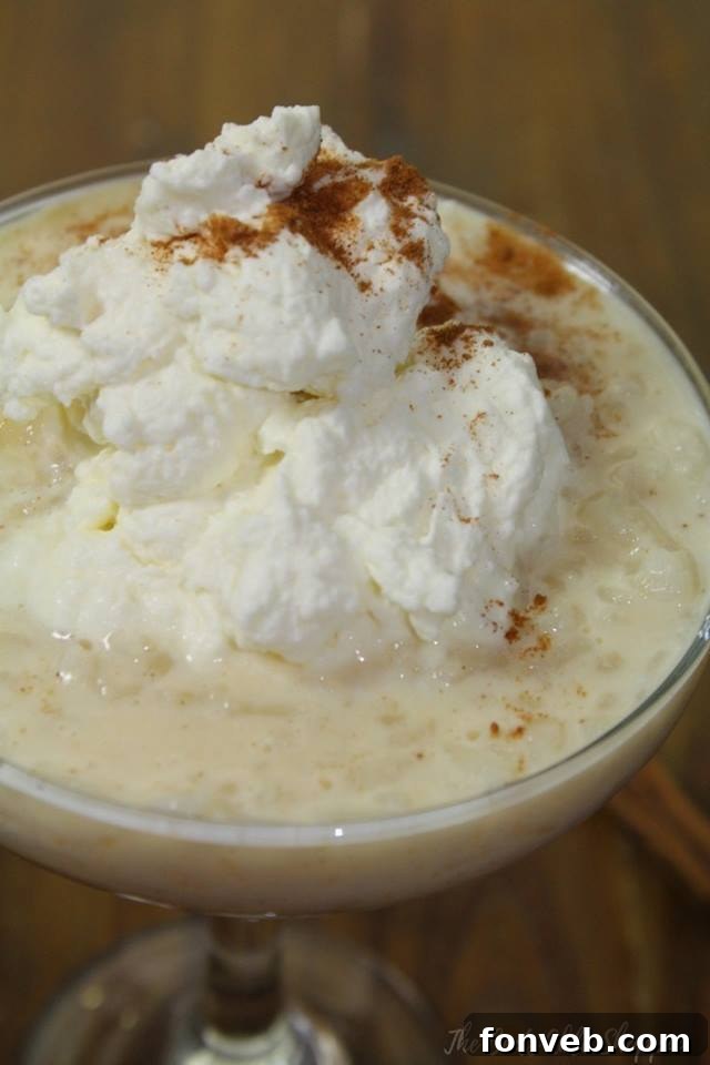Creamy Instant Pot Vanilla Rice Pudding in a bowl, garnished with cinnamon, ready to eat.