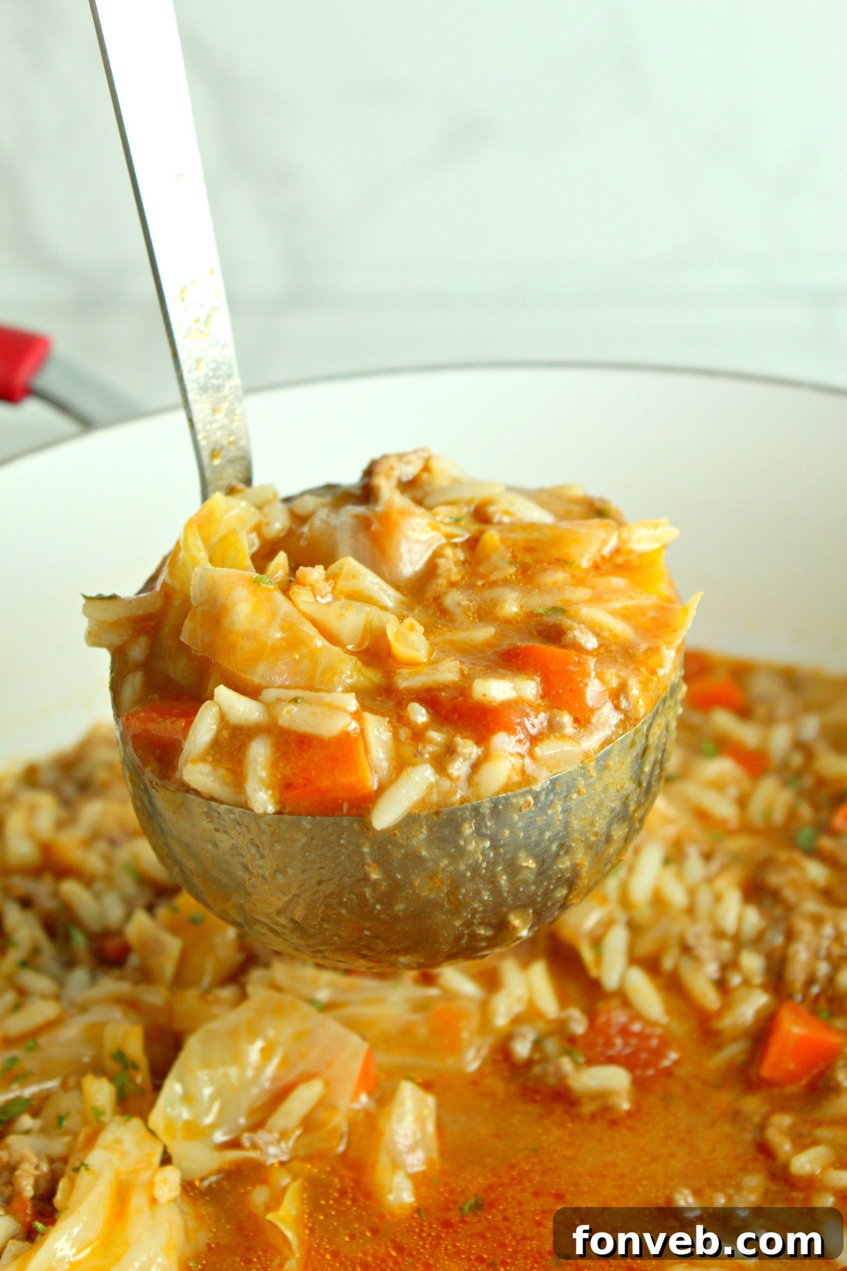 Heirloom Cabbage Roll Soup 4 A vibrant bowl of Cabbage Roll Soup, ready to be served.