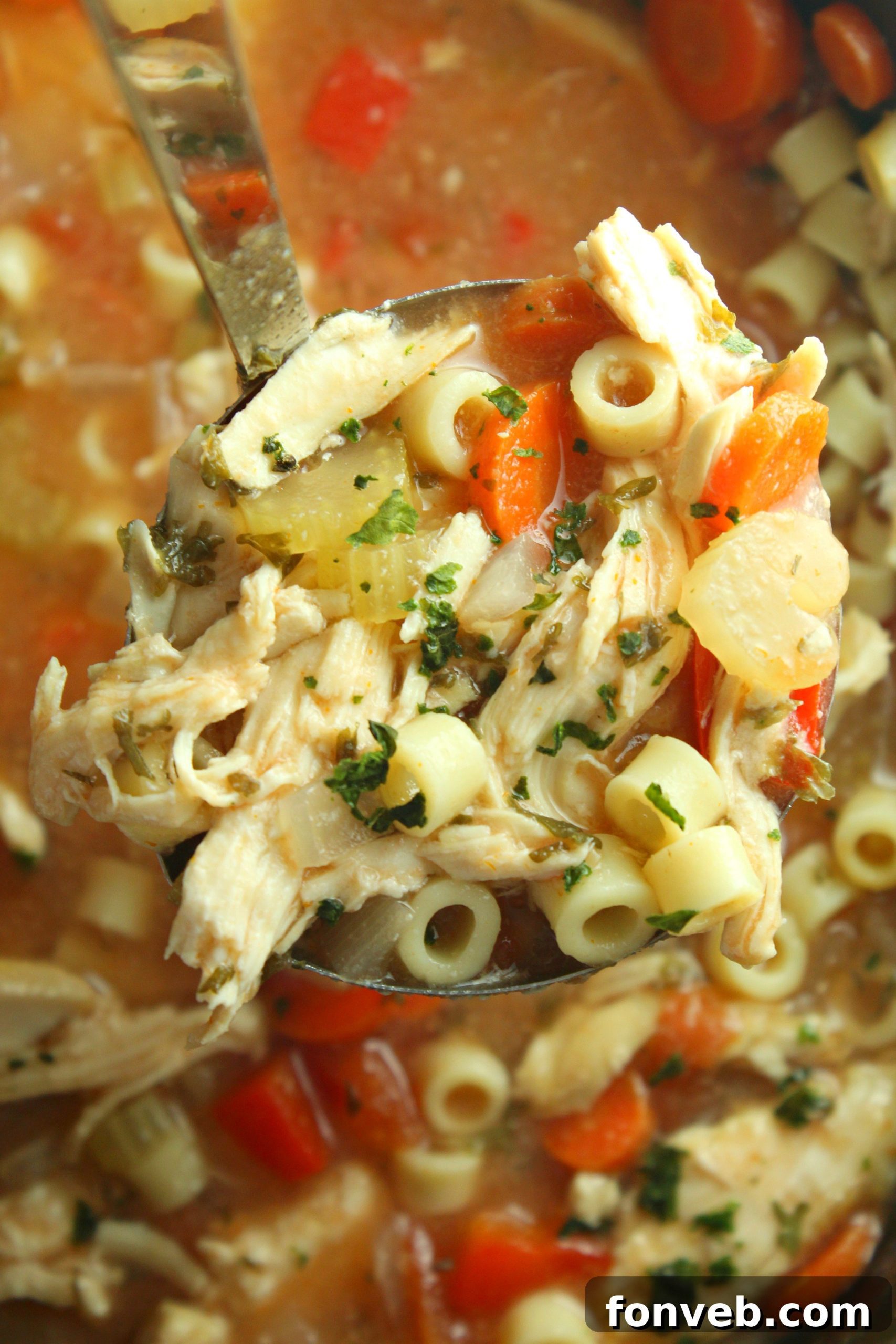 Close-up of Sicilian Chicken Soup with tender chicken, vegetables, and pasta.