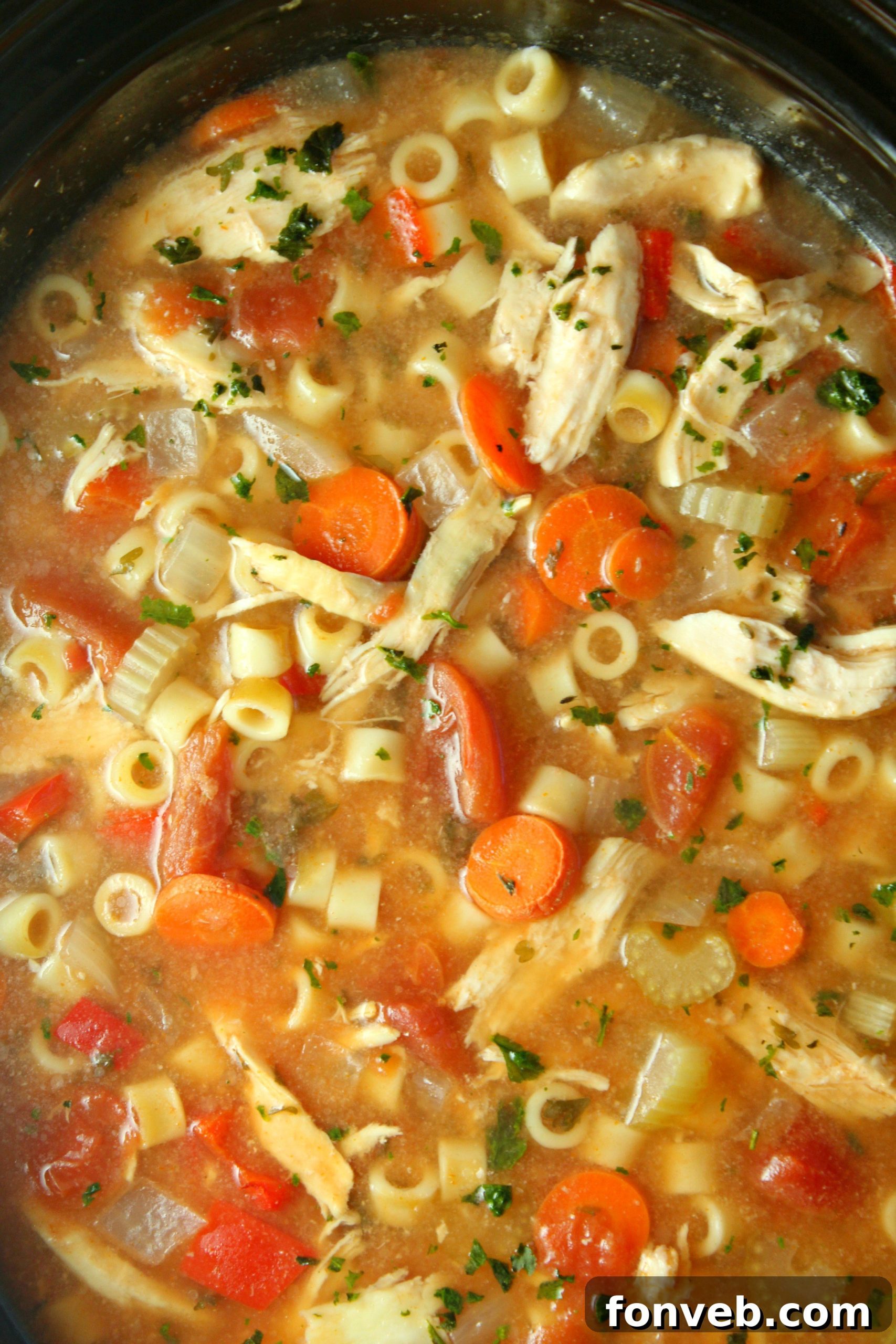 A rustic shot of Sicilian Chicken Soup, highlighting its hearty texture and vibrant ingredients.