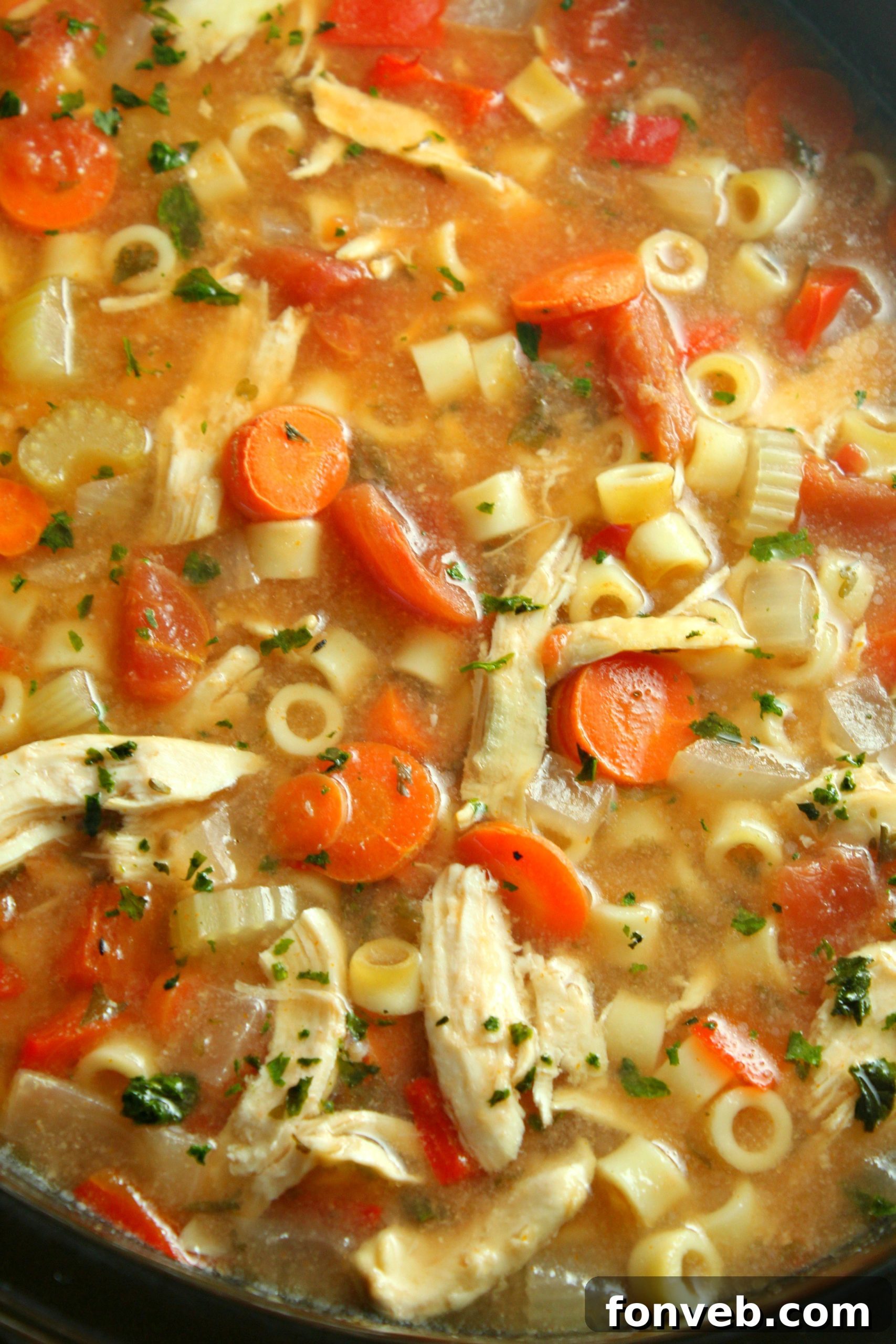 Ingredients for Sicilian Chicken Soup arranged before cooking in a slow cooker.