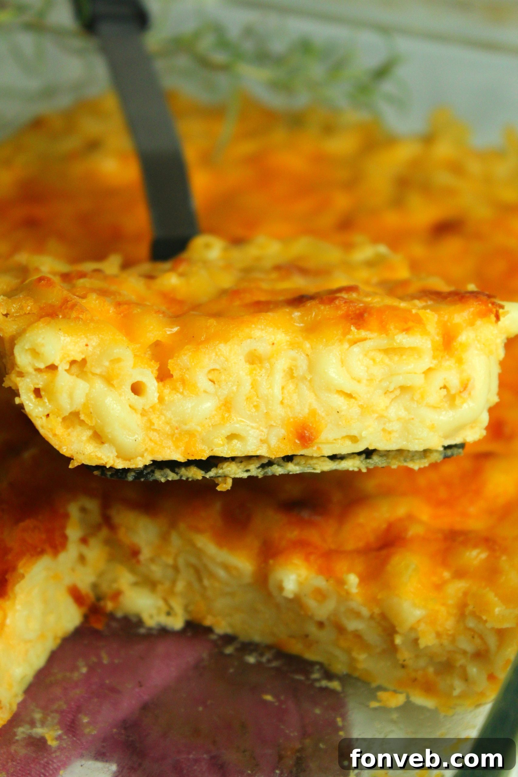 A beautifully presented serving of Southern Baked Macaroni & Cheese on a plate, garnished and ready to be devoured, showcasing its cheesy texture.