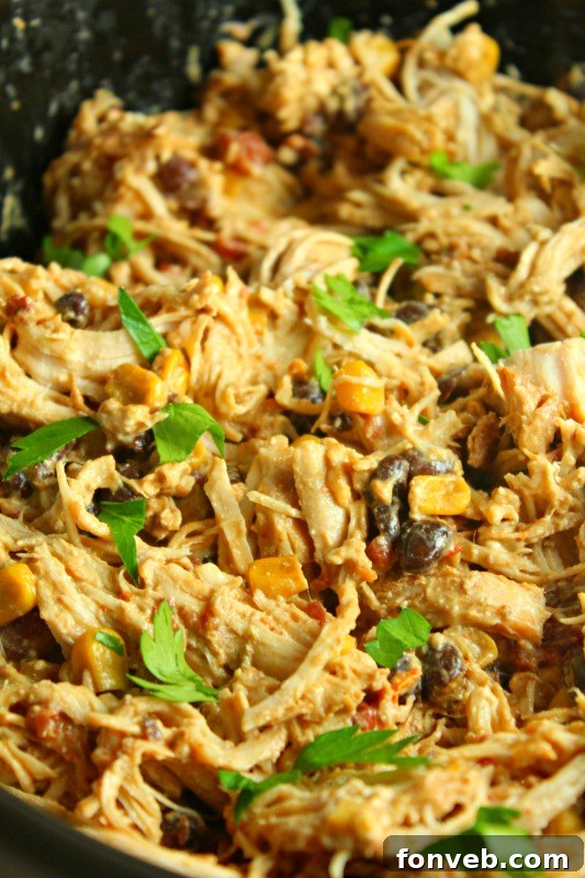Set-It-and-Forget-It Fiesta Chicken 3 Slow Cooker Fiesta Chicken served in a bowl