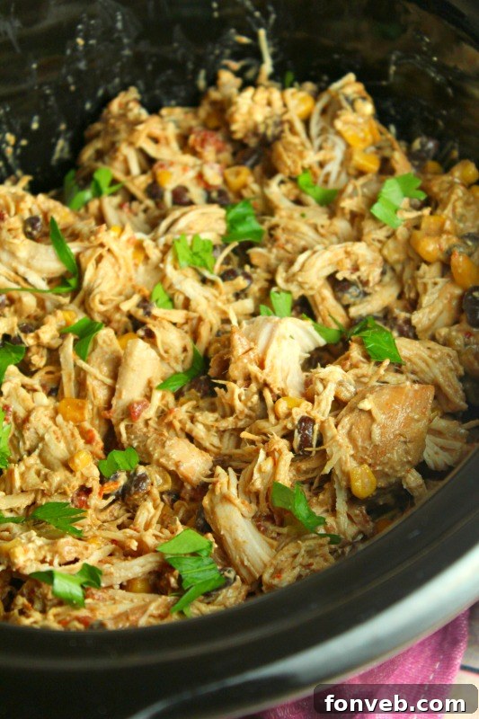 Set-It-and-Forget-It Fiesta Chicken 4 Crispy loaded tacos with Slow Cooker Fiesta Chicken