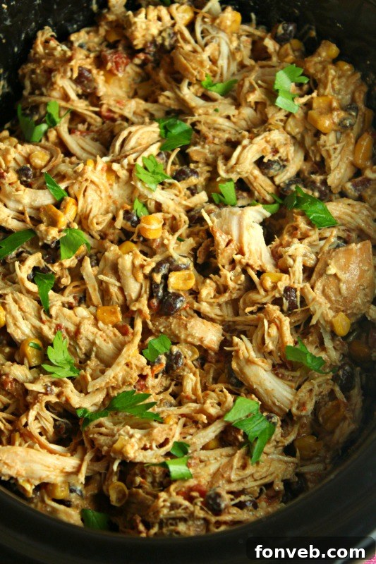 Set-It-and-Forget-It Fiesta Chicken 8 Overhead shot of Slow Cooker Fiesta Chicken tacos and ingredients