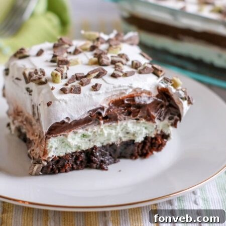 Andes Mint Lasagna Lush