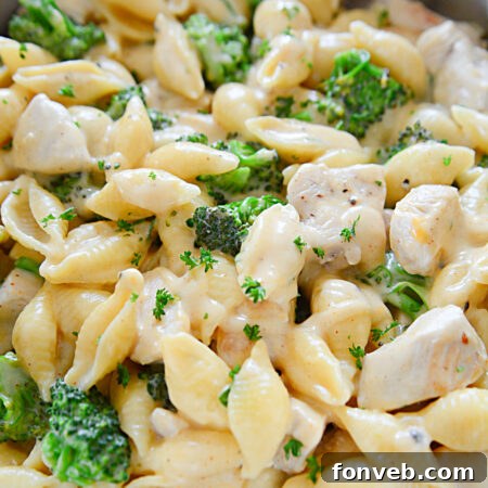 Creamy Cheesy Chicken and Broccoli Shells 11 Cheesy Chicken & Broccoli Shells