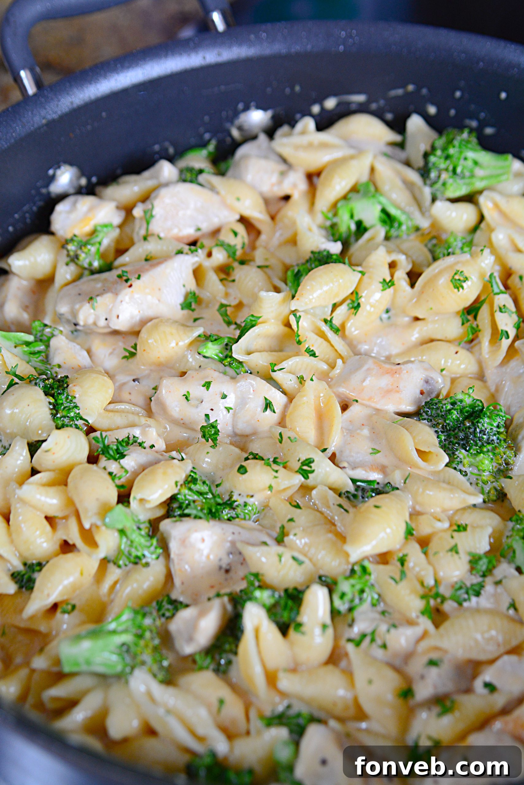 Creamy Cheesy Chicken and Broccoli Shells 3 A serving of Cheesy Chicken & Broccoli Shells with a fork, showing the creamy texture and ingredients.