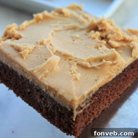 Circular image of a beautifully frosted Texas Sheet Cake with peanut butter frosting, tempting and delicious.