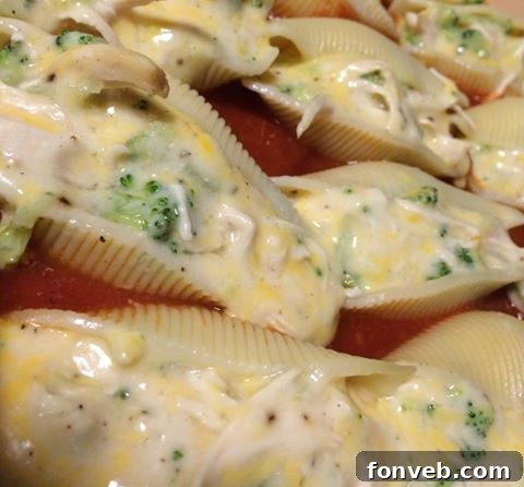 Chicken Broccoli Alfredo Stuffed Shells, a must-make dinner