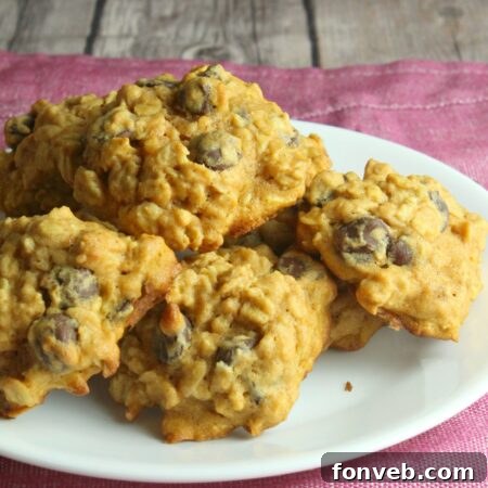 Pumpkin Oatmeal Chocolate Chip Cookies