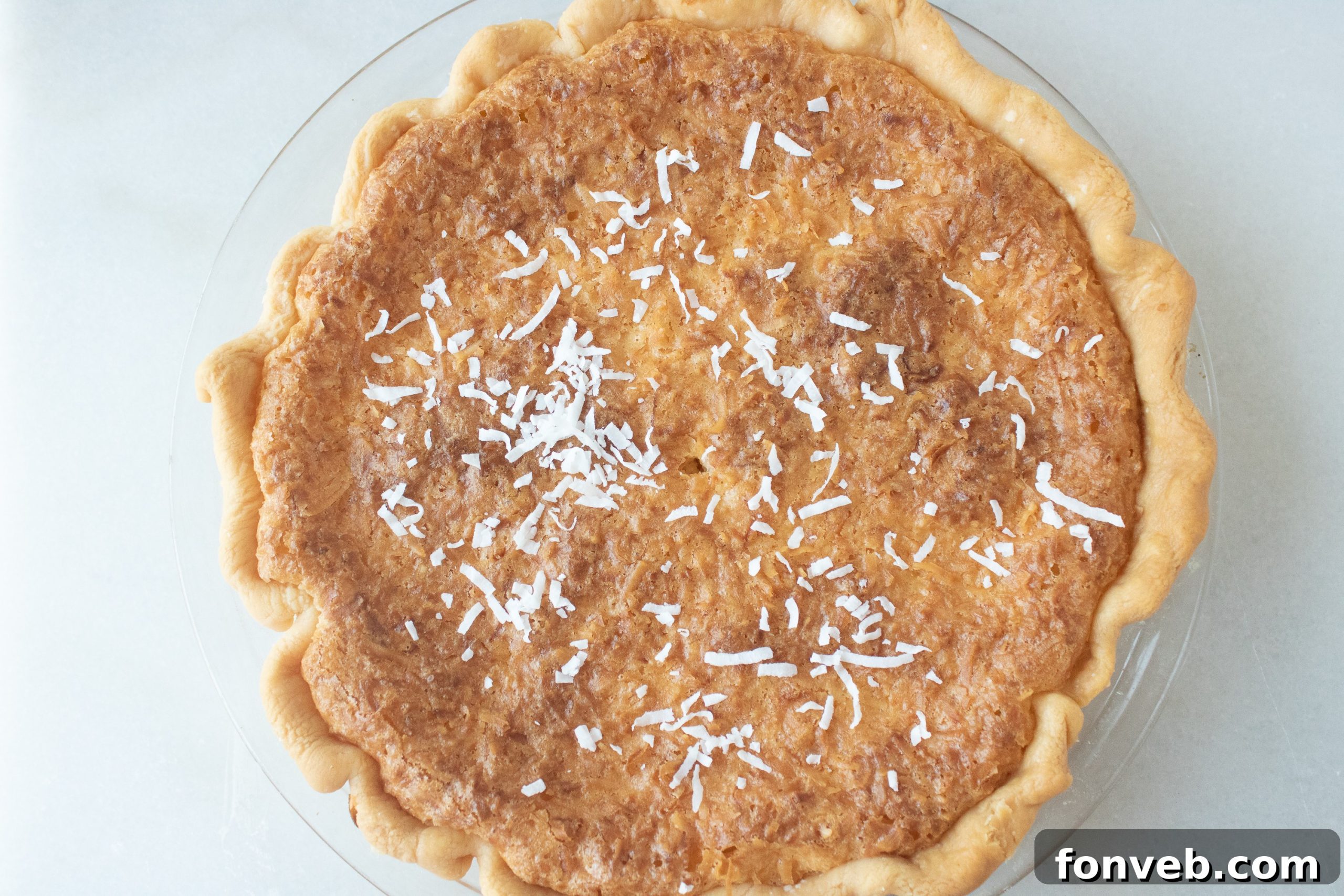 Nana's Classic Coconut Pie 3 Another view of the delicious Nana's Coconut Pie, ready to be served.