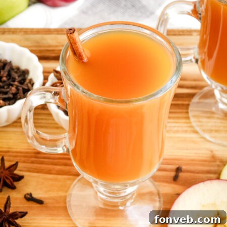 Hot Mulled Apple Cider with spices and fruit