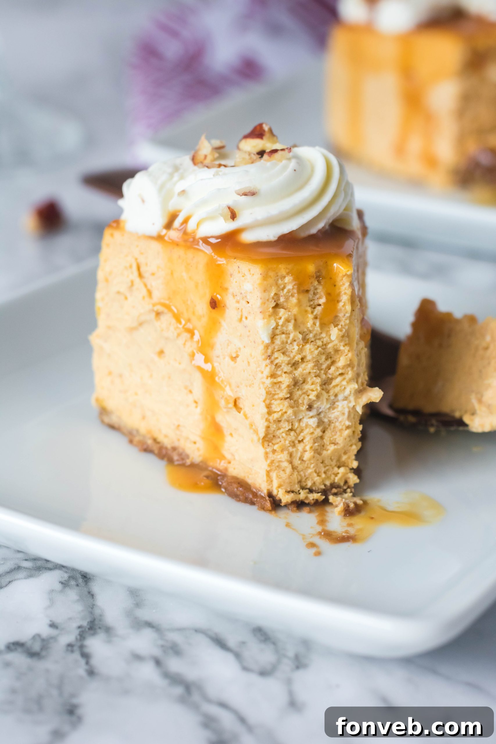 Close-up of Instant Pot Pumpkin Cheesecake ingredients