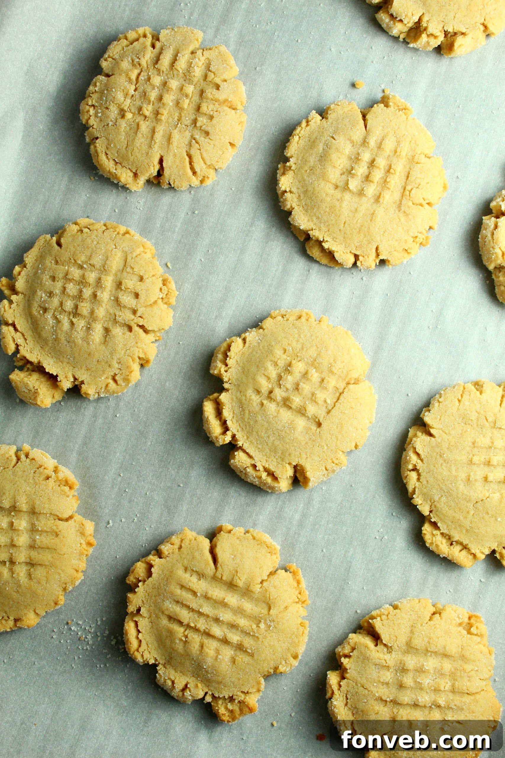 A close-up shot of a single soft and chewy peanut butter cookie, showing its texture and classic fork marks.
