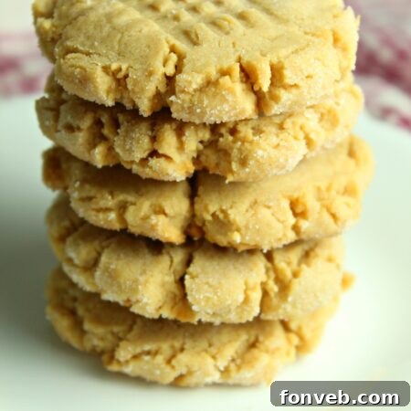 Close-up of a soft and chewy classic peanut butter cookie.
