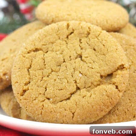 Soft Batch Gingerbread Cookies